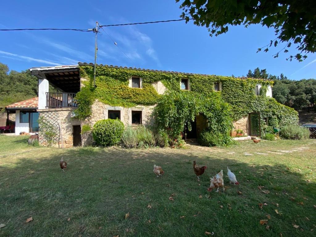 Can Canaleta Hotel Rural Santa Coloma De Farners Ngoại thất bức ảnh